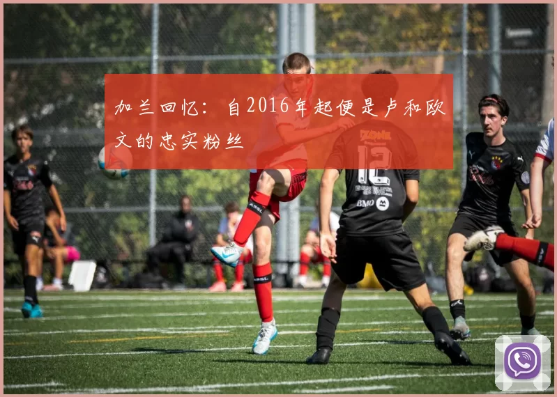 加兰回忆：自2016年起便是卢和欧文的忠实粉丝