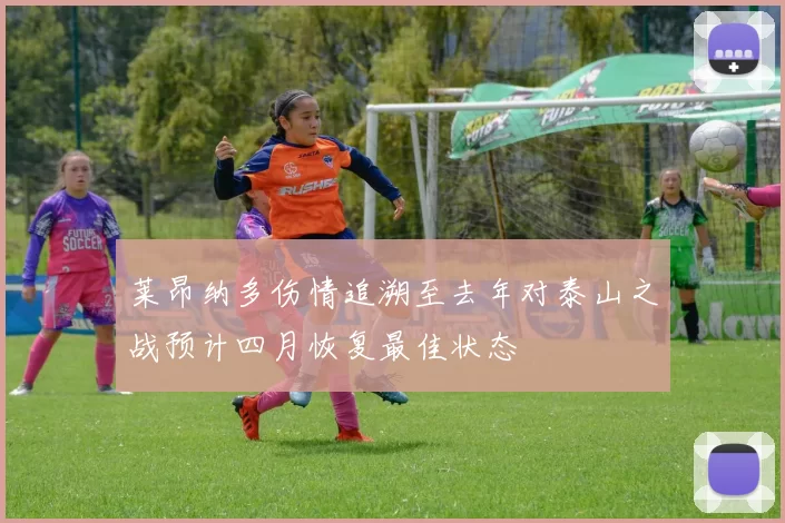 莱昂纳多伤情追溯至去年对泰山之战预计四月恢复最佳状态