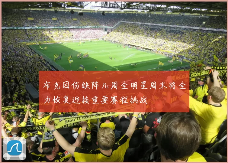 布克因伤缺阵几周全明星周末将全力恢复迎接重要赛程挑战