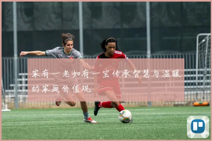 家有一老如有一宝传承智慧与温暖的家庭价值观